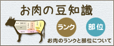 お肉の豆知識　お肉のランクと部位について