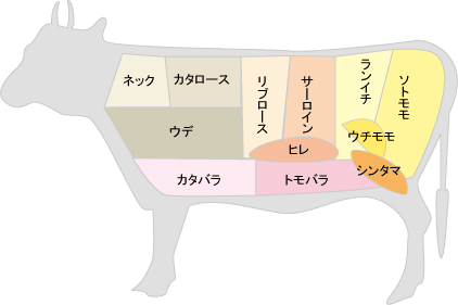 お肉の部位について